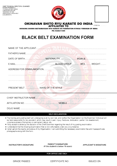 Black Belt Test Preview